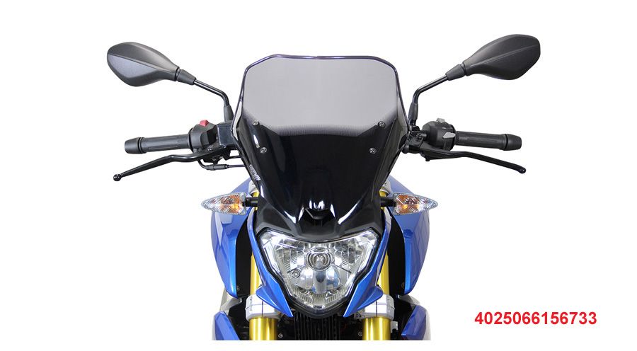 BMW G 310 R Racing screen