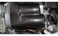 GS, S & C Starter cover carbon fibre