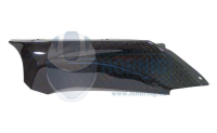 R1200S Injection Cover