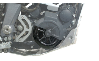 G650XChallenge/Country/Moto Carbon - Alternator cover guard