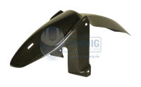 F800R Carbon Front Mudguard