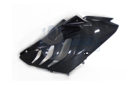S1000RR 2010-2011 Fairing Side Panels - Street