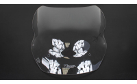 R1150RS V-Stream Windscreen