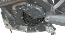 BMW G650Xchallenge, G650Xmoto, G650Xcountry Carbon - Clutch cover guard