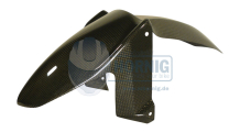 BMW F800R Carbon Front Mudguard