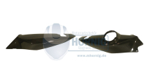 BMW F800R Carbon Tail Fairing Kit