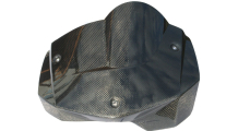 BMW F800R Carbon Windshield
