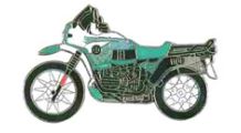  BMW R 100 Model Pin R 100 GS PD (green)