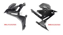  BMW S1000R (2021- ) Carbon Radiator Cover