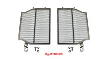  BMW R1300R Cooler protection