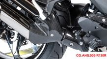  BMW R1300RS Carbon Exhaust Protector front