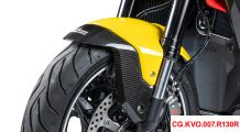  BMW R1300R Front mudguard carbon