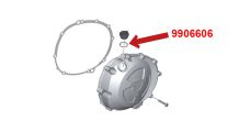  BMW S1000R (2014-2020) O-ring for oil filler cap
