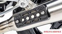  BMW R nine T Carbon Exhaust Protector