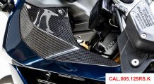  BMW R 1250 RS Carbon cover for lateral part of instruments