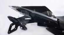  BMW S1000RR (2009-2018) Tail two parts