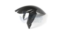  BMW F800R Carbon Front Mudguard
