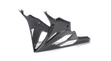  BMW S1000RR (2019- ) Bellypan long