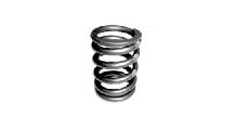  BMW R 80 Model Valve spring for all R2V models