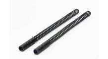  BMW R 100 Model Fork spring set