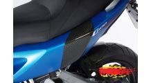  BMW C 600 Sport Rear Crash Protectors