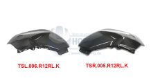  BMW R 1200 R, LC (2015-2018) Carbon Tank Side Cover