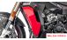 BMW S 1000 XR (2020- ) Carbon Radiator Cover (complete)