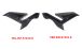 BMW S1000R (2021- ) Carbon Fairing Side Panels