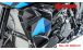 BMW S 1000 XR (2020- ) Carbon radiator fairing