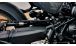 BMW R12nineT & R12 Paralever strut
