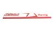 BMW R 1250 R Decor sticker set