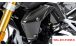 BMW R 1250 R Carbon Radiator Cover