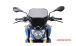 BMW G 310 R Racing screen