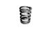 BMW R 100 Model Valve spring for all R2V models