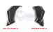 BMW R 1200 R, LC (2015-2018) Carbon Radiator Cover