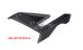 BMW S1000R (2021- ) Carbon Fairing Side Panels