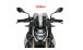 BMW S1000R (2021- ) Sport windshield