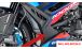 BMW S1000R (2021- ) Carbon Radiator Cover