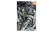 BMW R 18 Additional LED Lights