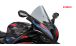 BMW S1000RR (2019- ) Windshield R-Racer