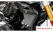 BMW R 1250 R Carbon Radiator Cover