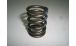 BMW R 100 Model Valve spring for all R2V models
