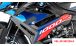 BMW S1000R (2021- ) Carbon Fairing Side Panels