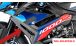BMW S1000R (2021- ) Carbon Radiator Cover