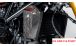 BMW R12nineT, R12, R12S & R12G/S Carbon oil cooler cover