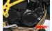 BMW F650GS (08-12), F700GS & F800GS (08-18) Carbon protectors alternator cover big