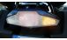 BMW R1100RT, R1150RT LED Rear Light