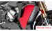 BMW S 1000 XR (2020- ) Carbon Radiator Cover (complete)