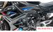 BMW S1000R (2021- ) Carbon Frame Protection
