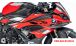 BMW S1000RR (2019- ) Fairing Side Panels